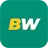 شعار BetWinner من المصدر الرسمي